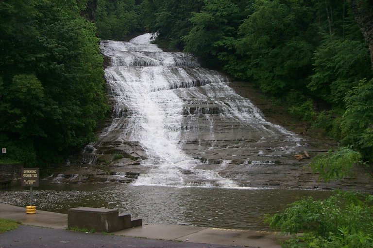 Ithaca NY