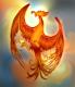 Phoenix Developers Consortium